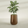Tall Hayden Medium Round Fiberglass Planter - 15 in x 15 in x 23 in - Metallic Bronze - Metallic Bronze,15 in x 15 in x 23 in