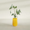Tall Hayden Medium Round Fiberglass Planter - 18 in x 18 in x 29 in - Gloss Saffron - Gloss Saffron,18 in x 18 in x 29 in