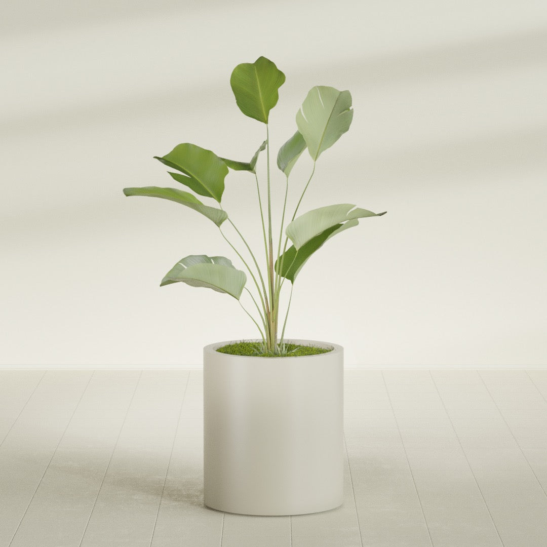 Rio Grande Medium Round Fiberglass Planter - 18 in x 18 in x 20 in - Satin Beige - Satin Beige,18 in x 18 in x 20 in