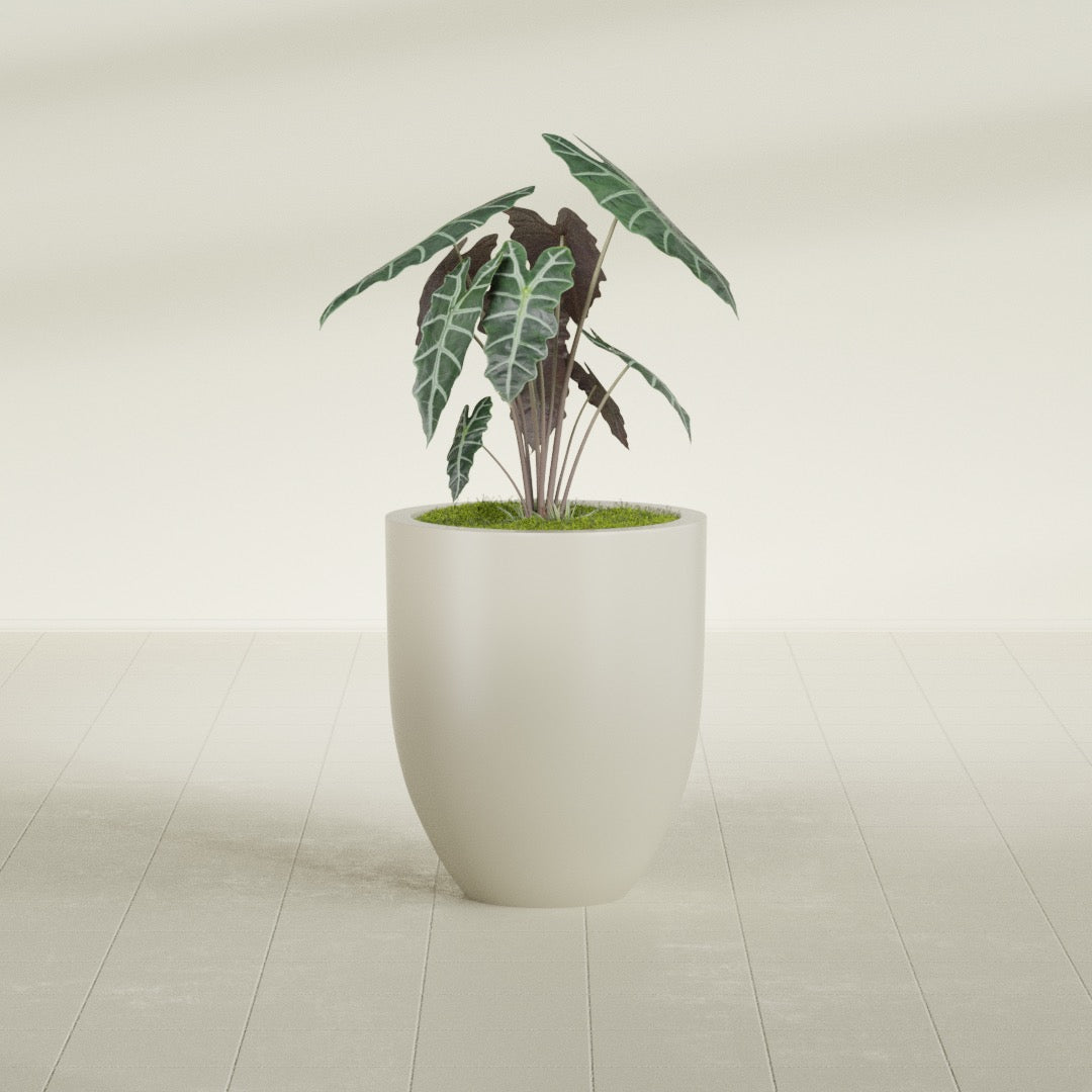 Valencia Medium Round Fiberglass Planter - 20 in x 20 in x 23 in - Satin Beige - Satin Beige,20 in x 20 in x 23 in