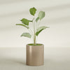 Rio Grande Medium Round Fiberglass Planter - 18 in x 18 in x 20 in - Metallic Gold - Metallic Gold,18 in x 18 in x 20 in