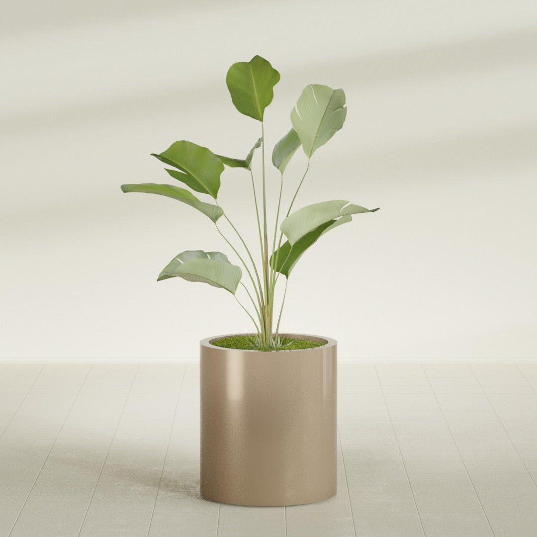 Rio Grande Medium Round Fiberglass Planter - 18 in x 18 in x 20 in - Metallic Gold - Metallic Gold,18 in x 18 in x 20 in