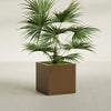 Montroy Medium Cube Square Fiberglass Planter - 28 in x 28 in x 28 in - Metallic Bronze - Metallic Bronze,28 in x 28 in x 28 in