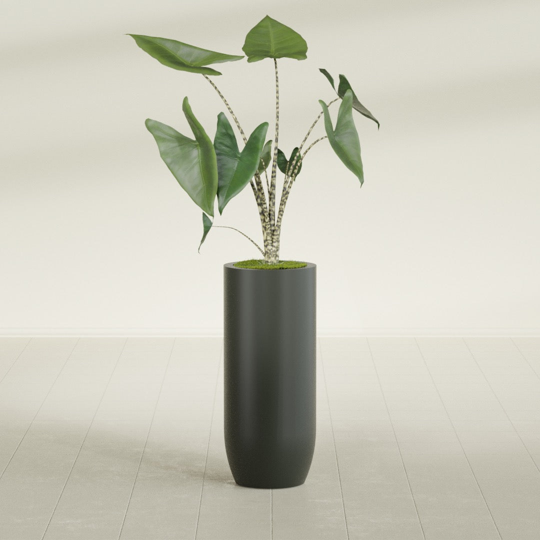 Saint Tropez Large Tall Round Fiberglass Planter - 16 in x 16 in x 38 in - Matte Charcoal - Matte Charcoal,16 in x 16 in x 38 in
