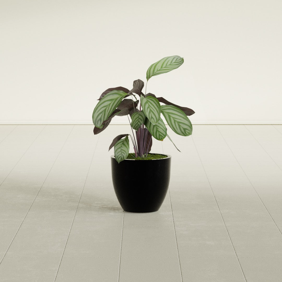 Wannsee Small Round Fiberglass Planter - 15 in x 15 in x 13 in - Gloss Black - Gloss Black,15 in x 15 in x 13 in