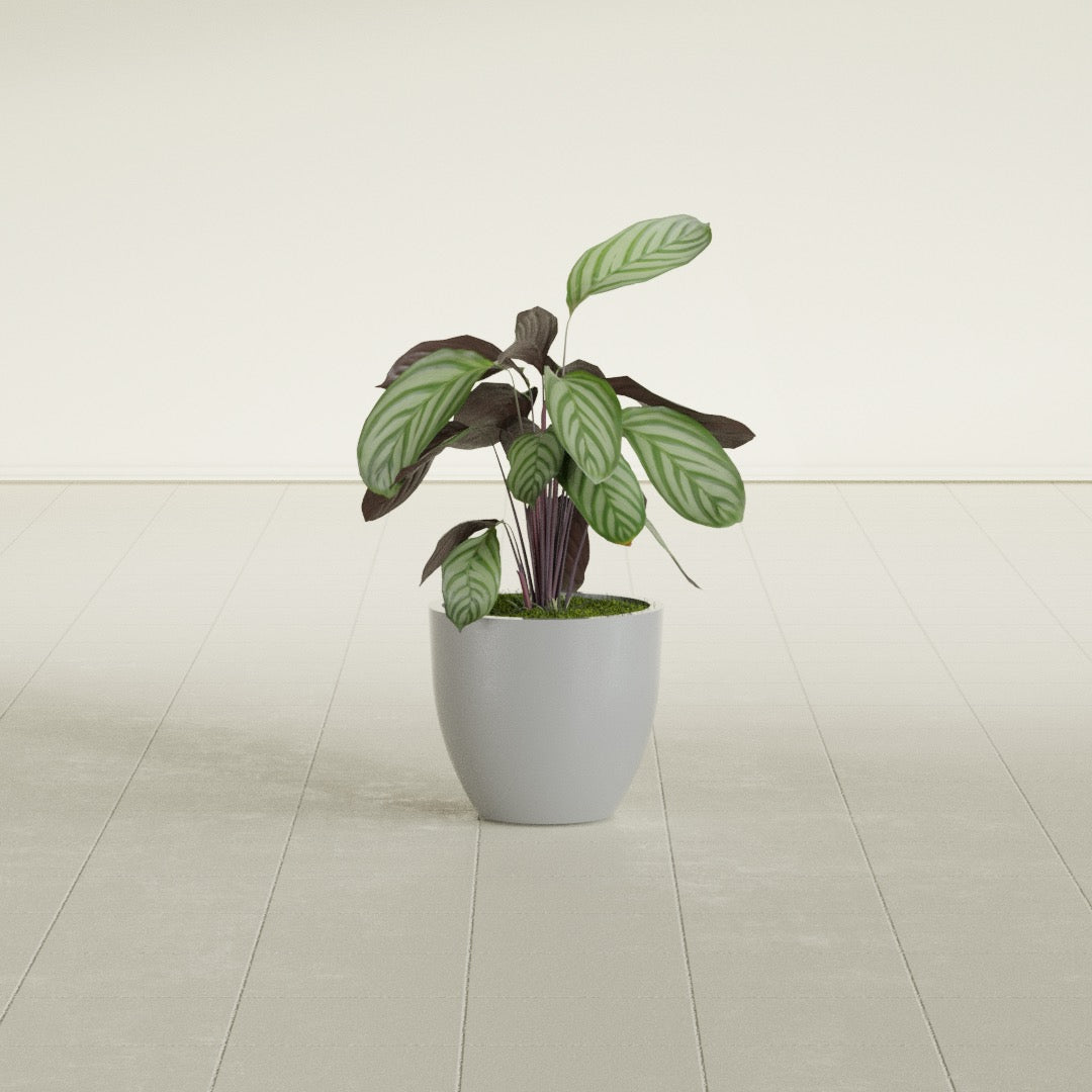 Wannsee Small Round Fiberglass Planter - 15 in x 15 in x 13 in - Metallic Silver - Metallic Silver,15 in x 15 in x 13 in