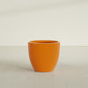Wannsee Large Round Fiberglass Planter - 33 in x 33 in x 29 in - Gloss Tangerine - Gloss Tangerine,33 in x 33 in x 29 in