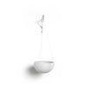 Hanging Brussels Small Bowl Planter - 13 in x 13 in x 6.5 in - Pure White - Pure White,13 in x 13 in x 6.5 in