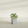 Miami Small Rectangle Fiberglass Planter - 12 in x 12 in x 18 in - Metallic Silver - Metallic Silver,12 in x 12 in x 18 in