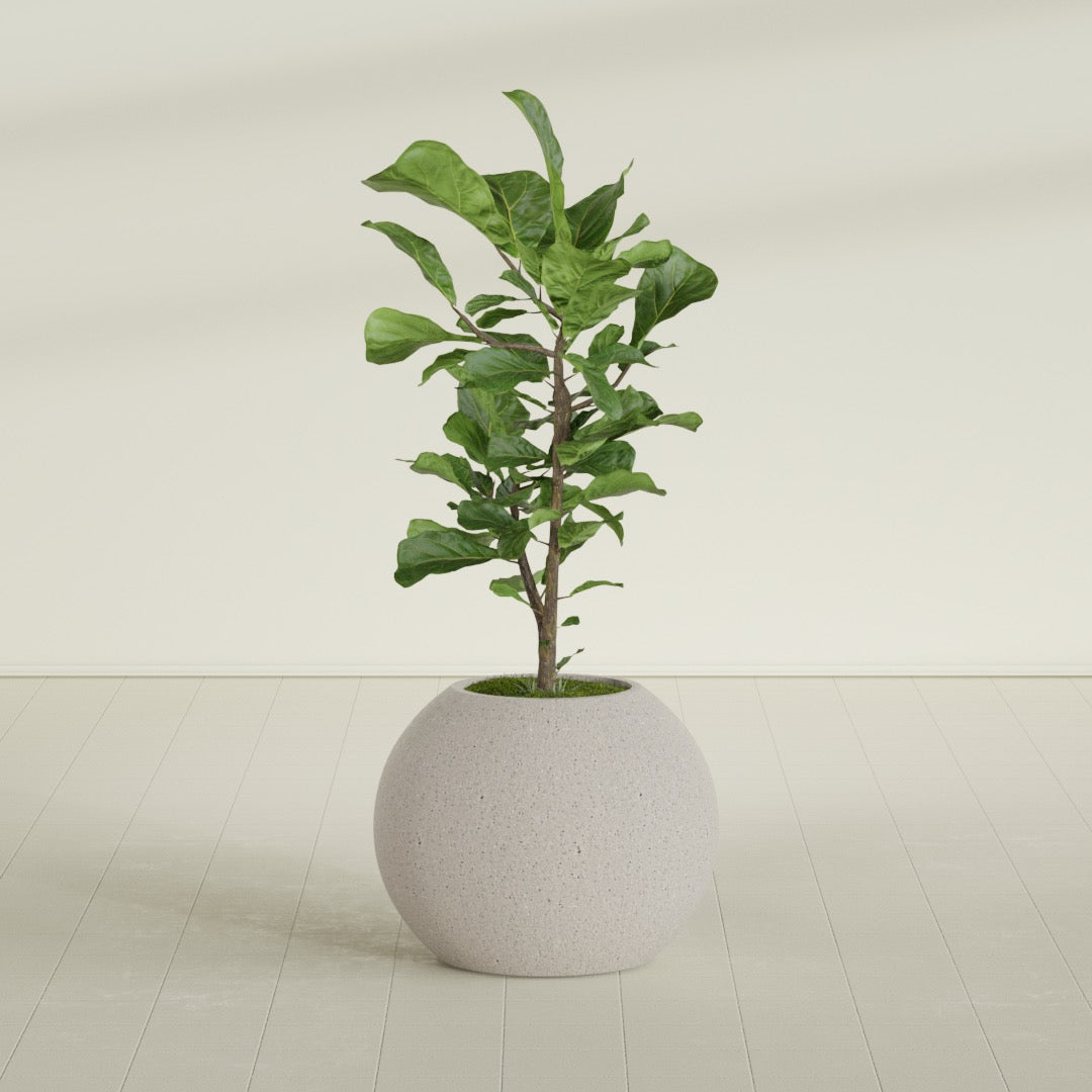 Globe - 24in diam. x 19in - StoneLight - Pearlstone - StoneLight - Pearlstone,24 in x 24 in x 20 in