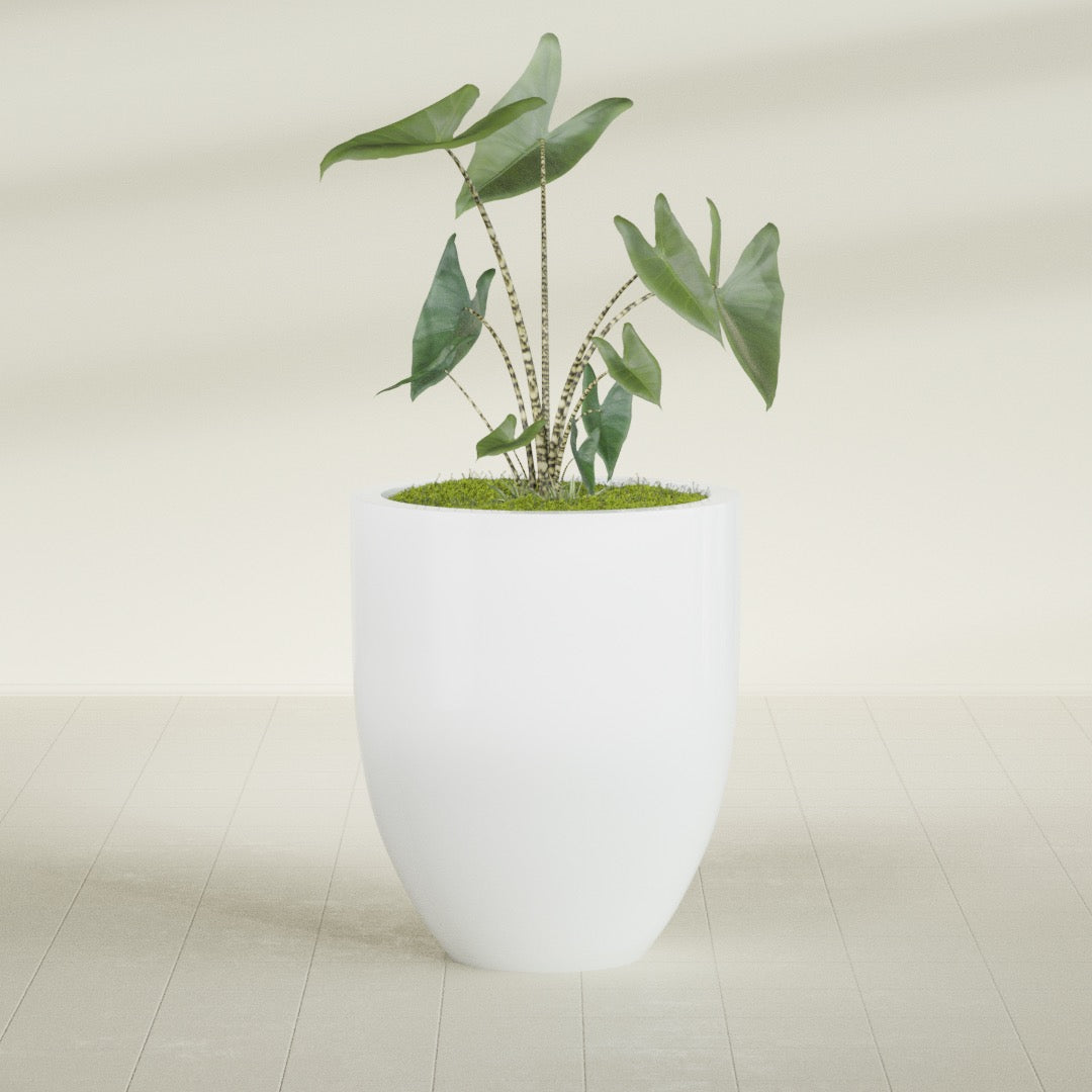 Valencia Large Round Fiberglass Planter - 27 in x 27 in x 31 in - Matte White - Matte White,27 in x 27 in x 31 in