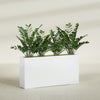 Milano Extra Large Narrow Rectangle Fiberglass Planter - 48 in x 10 in x 24 in - Matte White - Matte White,48 in x 10 in x 24 in