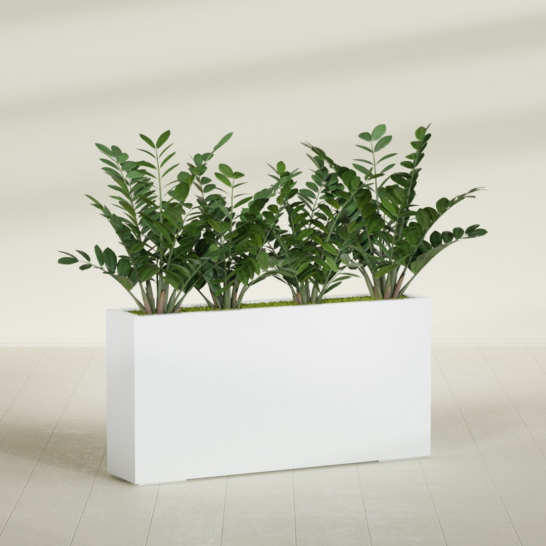 Milano Extra Large Narrow Rectangle Fiberglass Planter - 48 in x 10 in x 24 in - Matte White - Matte White,48 in x 10 in x 24 in