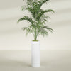 Corry Large Tall Cylinder Fiberglass Planter - 10 in x 10 in x 30 in - Gloss White - Gloss White,10 in x 10 in x 30 in