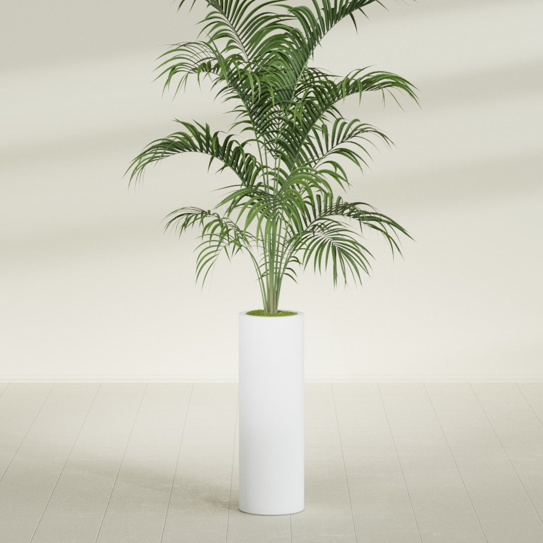 Corry Large Tall Cylinder Fiberglass Planter - 10 in x 10 in x 30 in - Gloss White - Gloss White,10 in x 10 in x 30 in