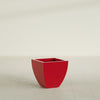 Lima Small Tapered Square Fiberglass Planter - 16 in x 16 in x 16 in - Gloss Red - Gloss Red,16 in x 16 in x 16 in