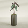 Saigon Large Tapered Round Planter - 14 in x 14 in x 30 in - Matte Bronze - Matte Bronze,13.7 in x 13.7 in 30 in