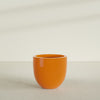 Alzira Large Round Fiberglass Planter - 30 in x 30 in x 28 in - Gloss Tangerine - Gloss Tangerine,30 in x 30 in x 28 in