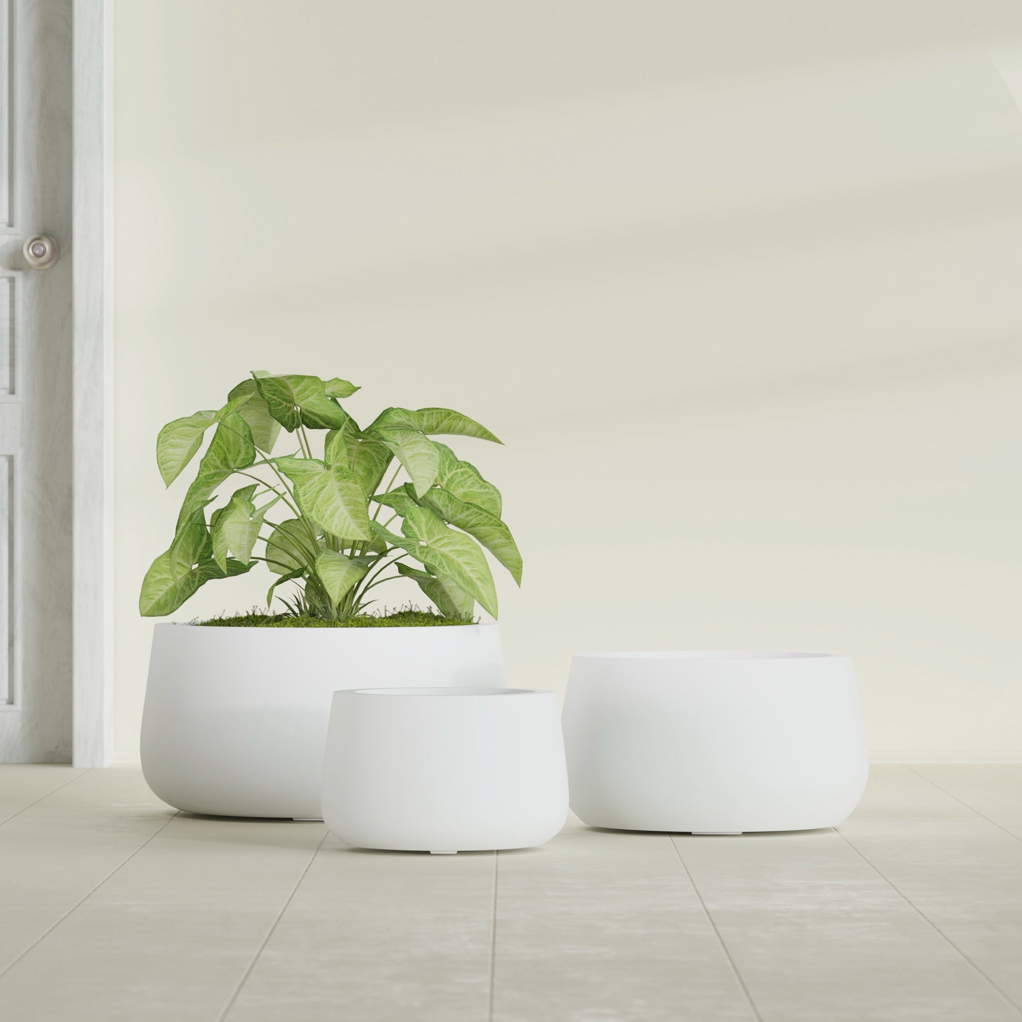 Short Hayden Small Round Fiberglass Planter - 12 in x 12 in x 7 in - Matte White - Matte White,12 in x 12 in x 7 in