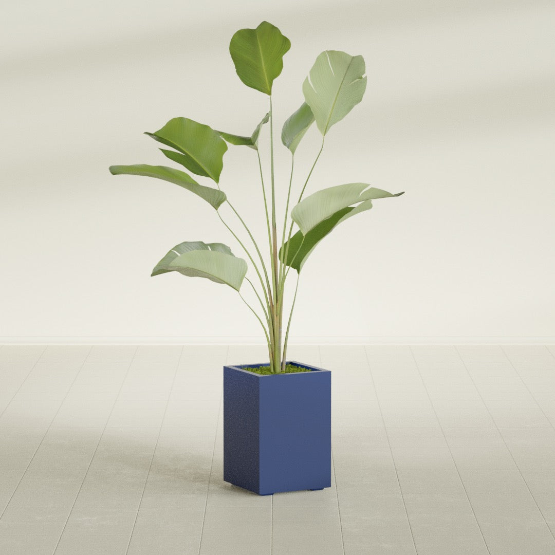 Tolga Medium Rectangle Fiberglass Planter - 16 in x 16 in x 24 in - Matte Cobalt Blue - Matte Cobalt Blue,16 in x 16 in x 24 in