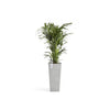 Rotterdam Medium Tall Square Planter - 12.6 in x 12.6 in x 27.5 in - White Grey - White Grey,12.5 in x 12.5 in x 27.5 in,Planter Only