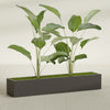 Cuba Extra Large Long Rectangle Fiberglass Planter - 72 in x 14 in x 12 in - Matte Brown - Matte Brown,72 in x 14 in x 12 in
