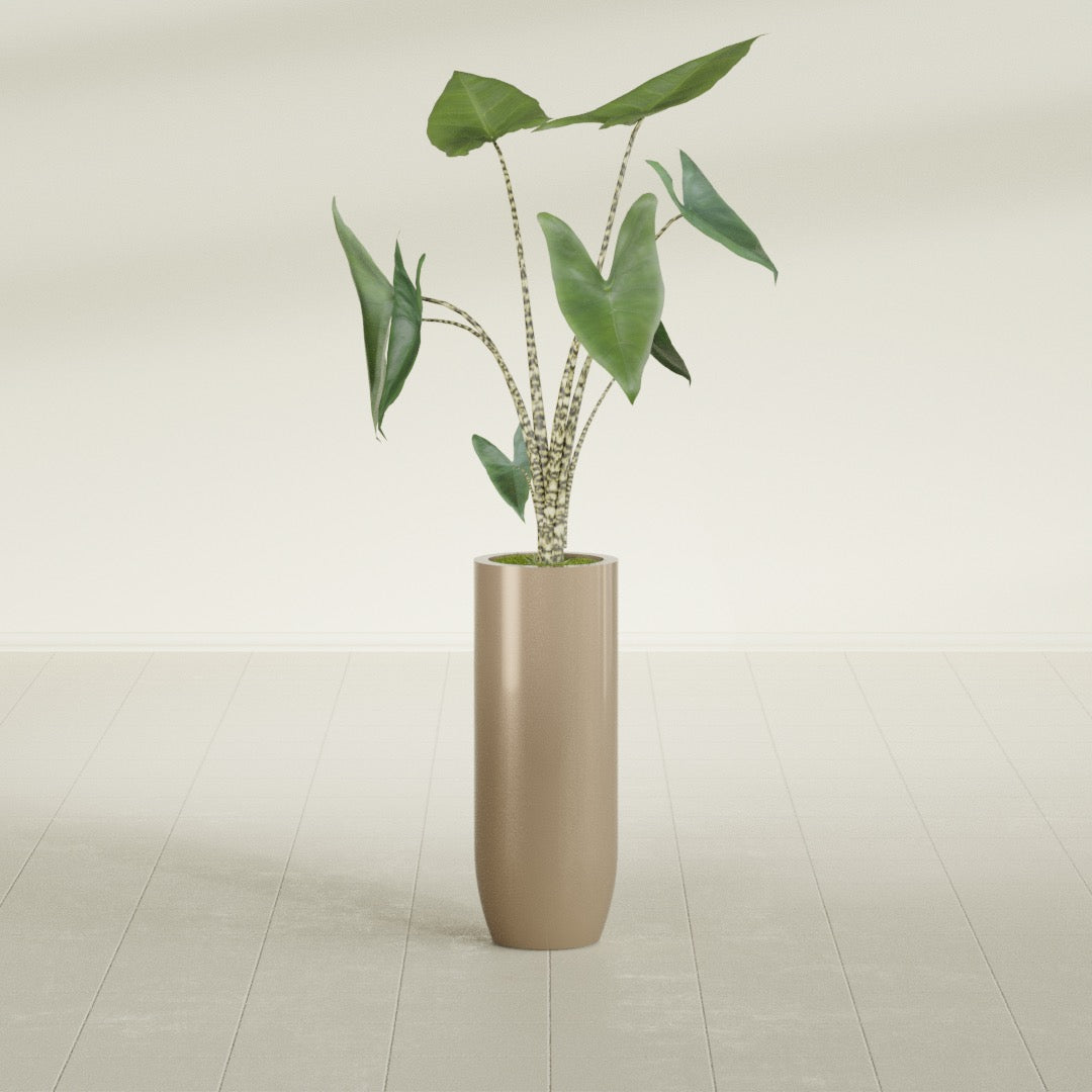 Saint Tropez Large Tall Round Fiberglass Planter - 12 in x 12 in x 32 in - Metallic Gold - Metallic Gold,12 in x 12 in x 32 in