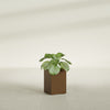 Miami Small Rectangle Fiberglass Planter - 12 in x 12 in x 18 in - Metallic Bronze - Metallic Bronze,12 in x 12 in x 18 in