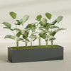 Torino Extra Large Wide Rectangle Fiberglass Planter - 72 in x 24 in x 18 in - Matte Charcoal - Matte Charcoal,72 in x 24 in x 18 in