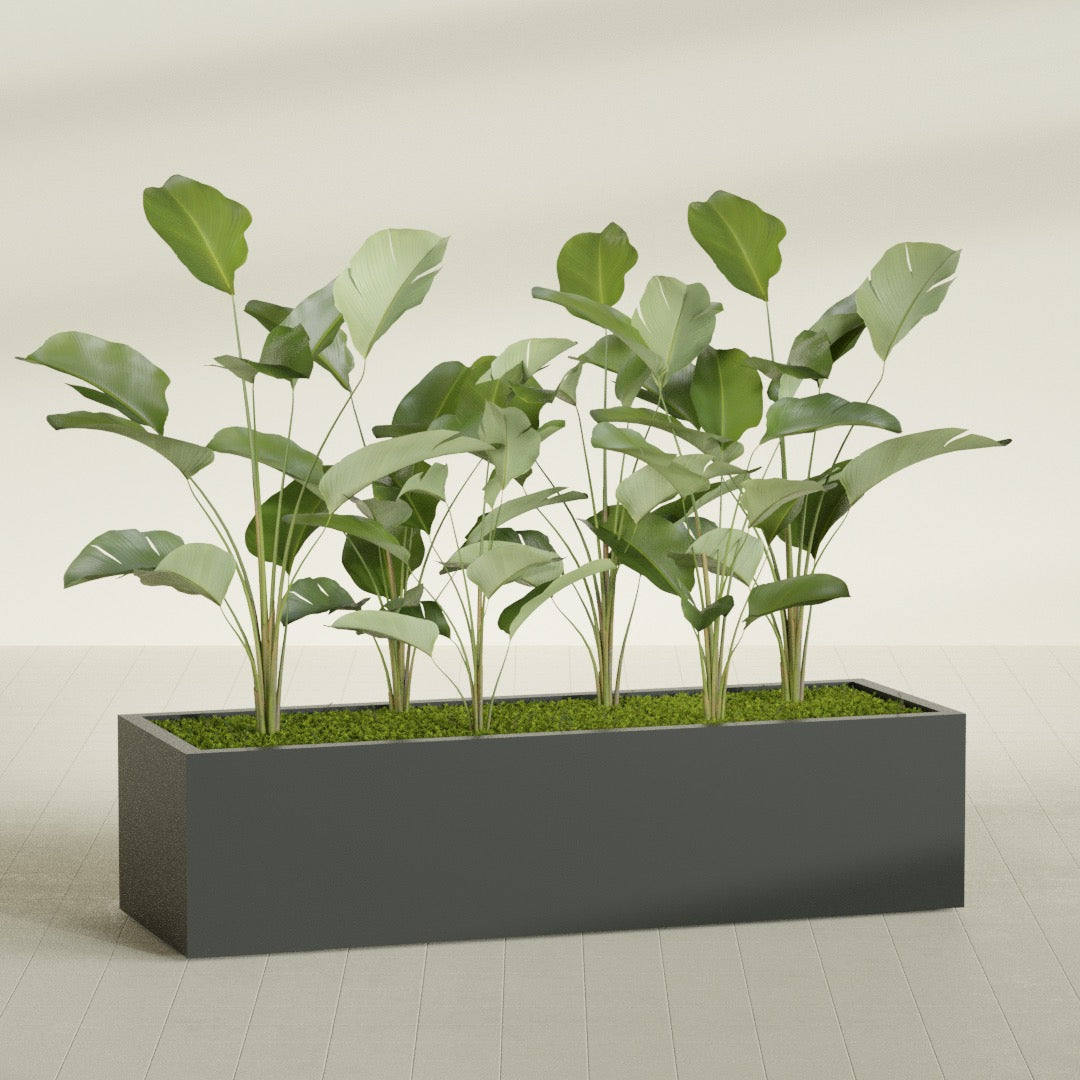 Torino Extra Large Wide Rectangle Fiberglass Planter - 72 in x 24 in x 18 in - Matte Charcoal - Matte Charcoal,72 in x 24 in x 18 in
