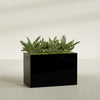 Brisbane Extra Large Long Rectangle Fiberglass Planter - 48 in x 24 in x 32 in - Gloss Black - Gloss Black,48 in x 24 in x 32 in