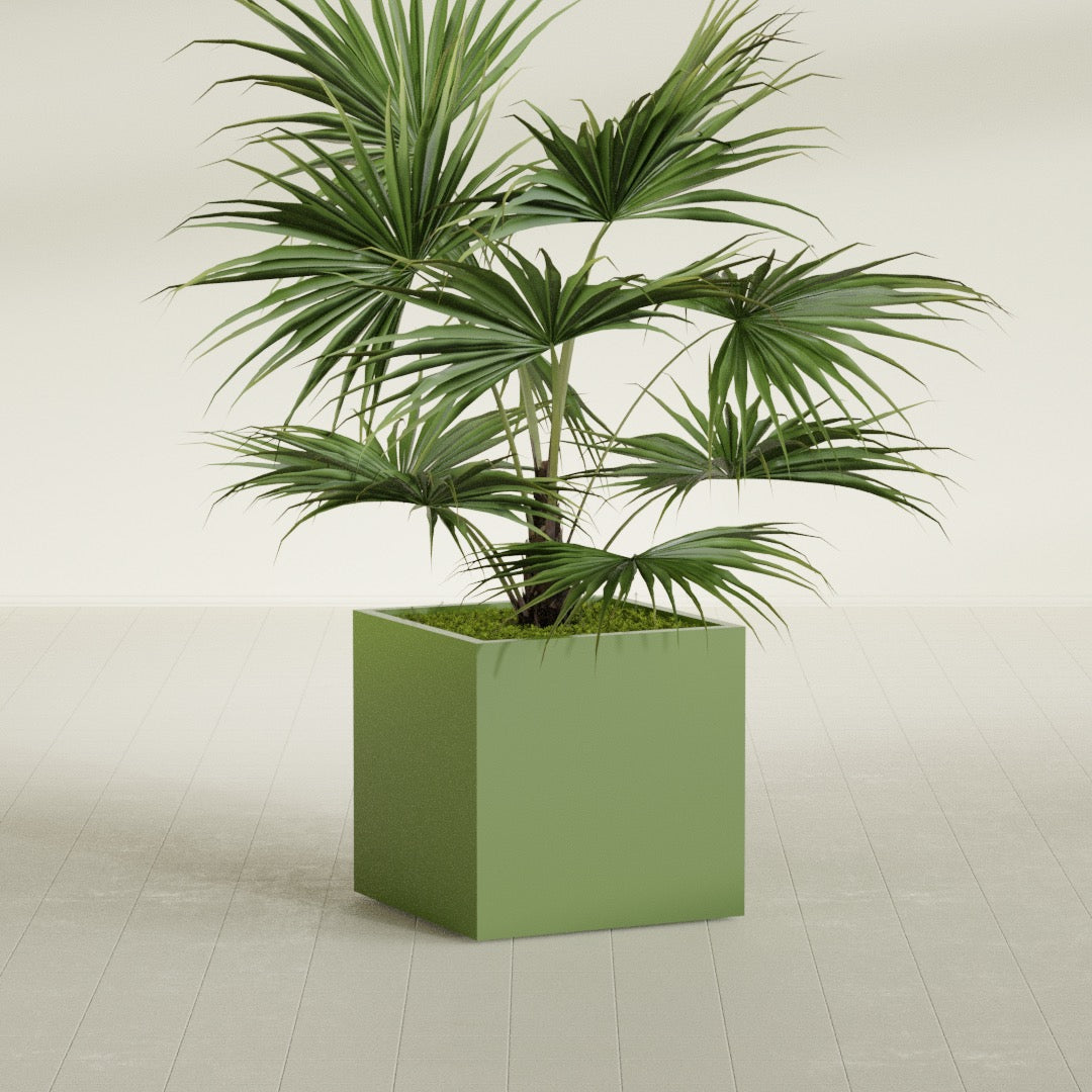 Montroy Medium Cube Square Fiberglass Planter - 28 in x 28 in x 28 in - Satin Green - Satin Green,28 in x 28 in x 28 in