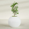Globe Large Sphere Fiberglass Planter - 36 in x 36 in x 30 in - Matte White - Matte White,36 in x 36 in x 30 in