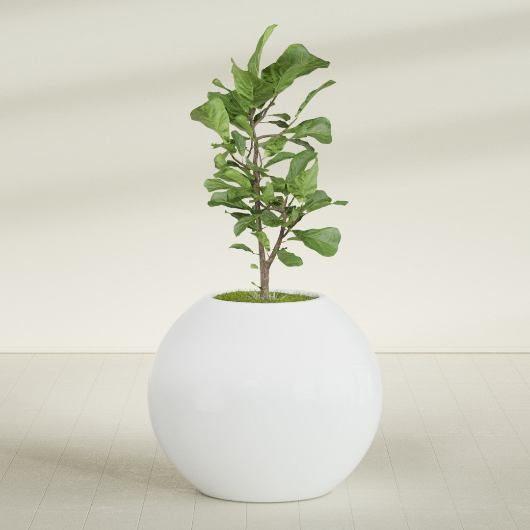 Globe Large Sphere Fiberglass Planter - 36 in x 36 in x 30 in - Matte White - Matte White,36 in x 36 in x 30 in