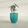 Valencia Medium Round Fiberglass Planter - 20 in x 20 in x 23 in - Satin Sea Foam - Satin Sea Foam,20 in x 20 in x 23 in