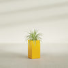 Hollywood Medium Rectangle Fiberglass Planter - 12 in x 12 in x 24 in - Gloss Saffron - Gloss Saffron,12 in x 12 in x 24 in