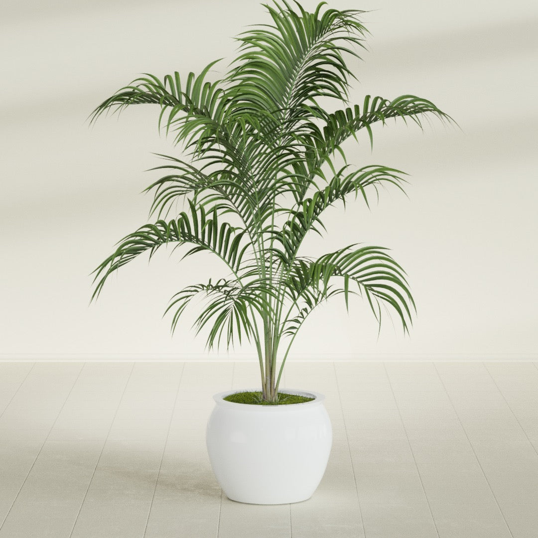 Fishbowl Small Round Fiberglass Planter - 16 in x 16 in x 14 in - Matte White - Matte White,16 in x 16 in x 14 in