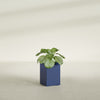 Miami Small Rectangle Fiberglass Planter - 12 in x 12 in x 18 in - Matte Cobalt Blue - Matte Cobalt Blue,12 in x 12 in x 18 in