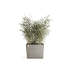 Paris with Wheels Large Rectangle Planter - 33.5 in x 15.5 in x 26 in - Taupe - Taupe,33.5 in x 15.5 in x 26 in