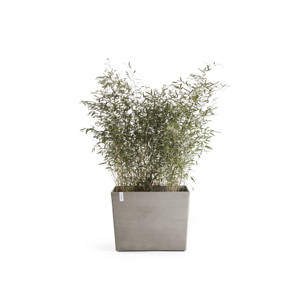 Paris with Wheels Large Rectangle Planter - 33.5 in x 15.5 in x 26 in - Taupe - Taupe,33.5 in x 15.5 in x 26 in
