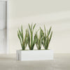 Tiergarden Large Long Over The Railing Rectangle Fiberglass Planter - 36 in x 12 in x 10 in - Matte White - Matte White,36 in x 12 in x 10 in