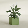 Montroy Medium Cube Square Fiberglass Planter - 20 in x 20 in x 20 in - Satin Green - Satin Green,20 in x 20 in x 20 in