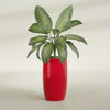 Lisbon Large Round Fiberglass Planter - 18 in x 18 in x 32 in - Gloss Red - Gloss Red,18 in x 18 in x 32 in