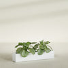 Salon Large Tall Rectangle Fiberglass Planter - 42 in x 8 in x 8 in - Matte White - Matte White,42 in x 8 in x 8 in