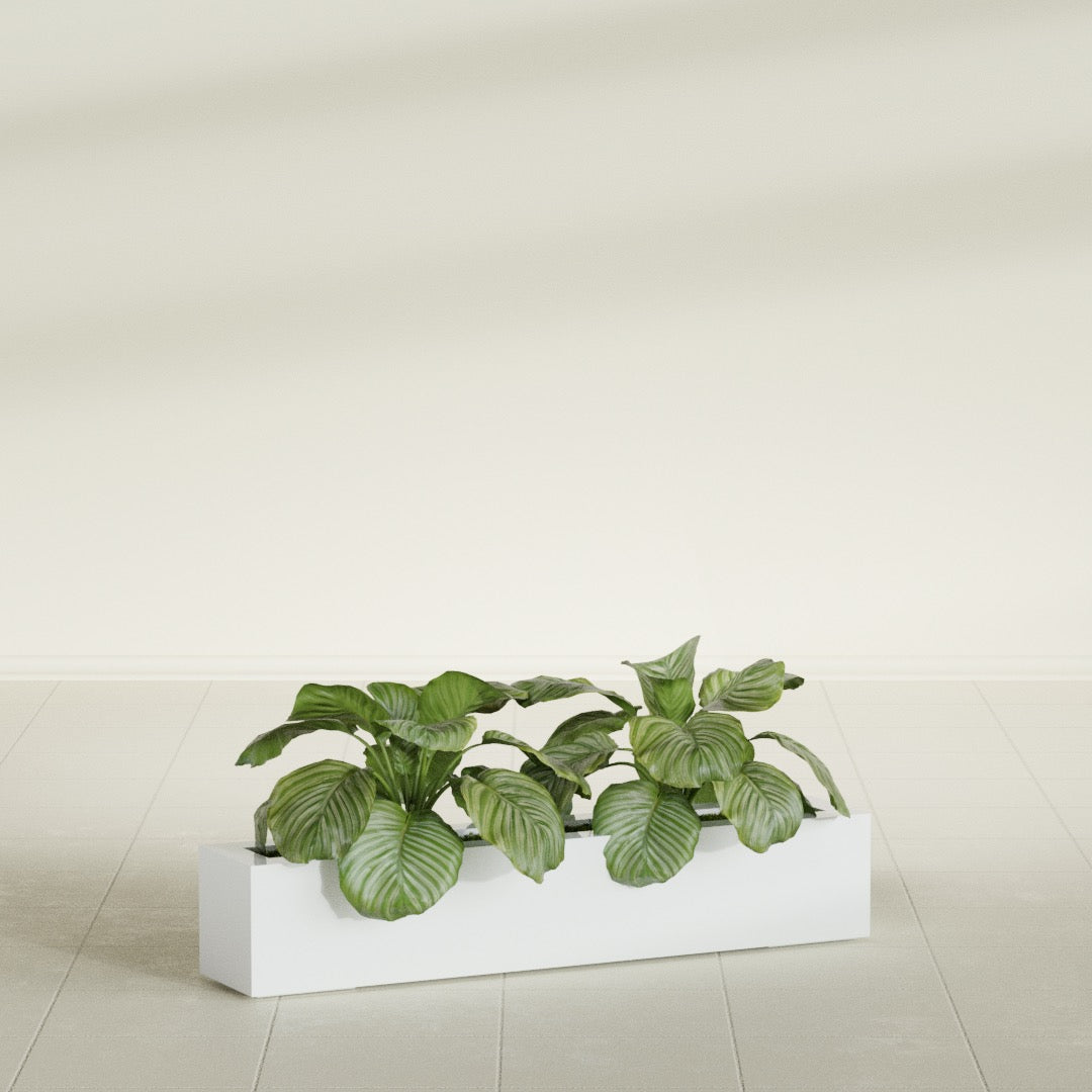 Salon Large Tall Rectangle Fiberglass Planter - 42 in x 8 in x 8 in - Matte White - Matte White,42 in x 8 in x 8 in