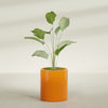 Rio Grande Medium Round Fiberglass Planter - 18 in x 18 in x 20 in - Gloss Tangerine - Gloss Tangerine,18 in x 18 in x 20 in