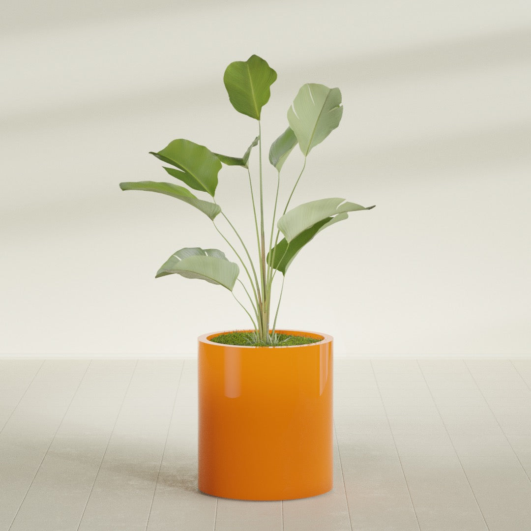Rio Grande Medium Round Fiberglass Planter - 18 in x 18 in x 20 in - Gloss Tangerine - Gloss Tangerine,18 in x 18 in x 20 in