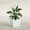 Montroy Medium Cube Square Fiberglass Planter - 20 in x 20 in x 20 in - Matte White - Matte White,20 in x 20 in x 20 in