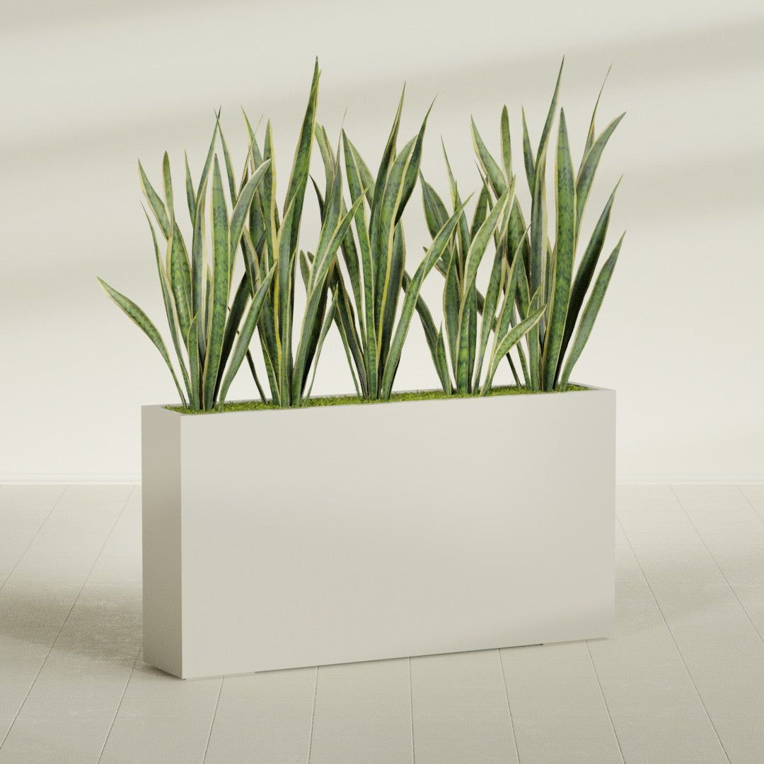 Delray Extra Large Long Rectangle Fiberglass Planter - 60 in x 12 in x 32 in - Satin Beige - Satin Beige,60 in x 12 in x 32 in