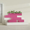 Antwerp Medium Low Rectangle Fiberglass Planter - 24 in x 24 in x 12 in - Gloss Pink Violet - Gloss Pink Violet,24 in x 24 in x 12 in